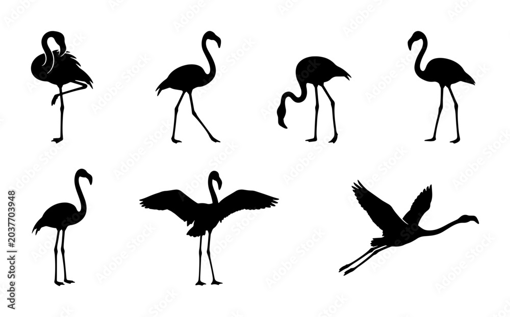 Obraz premium Flamingo Silhouettes: Elegant Bird Poses, Vector Graphics, Tropical Wildlife Collection
