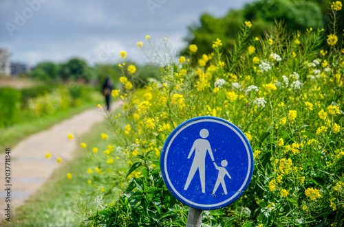 Foto Footpath sign surrounded by grass and rapeseed along a path in a Dutch polder in