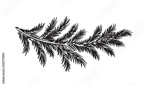 Christmas black tree branch, hand drawn	
