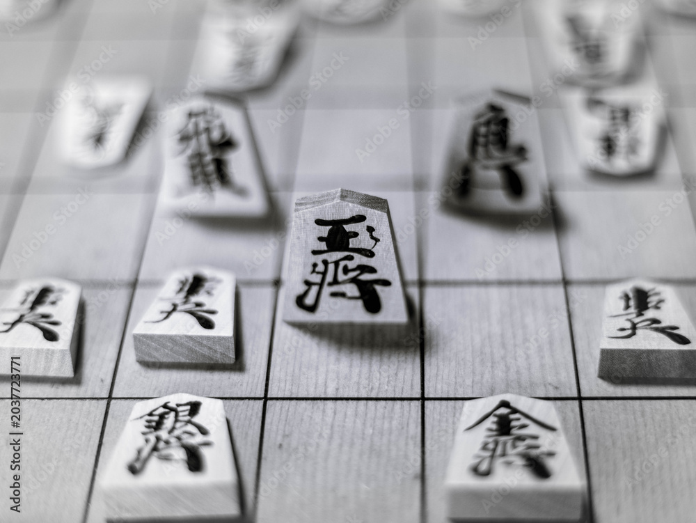 Фотография 将棋盤