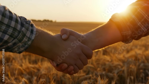 Two farmers shake hands in a golden wheat field during sunset. They demonstrate collaboration and commitment to farming. This moment captures their shared efforts and dedication