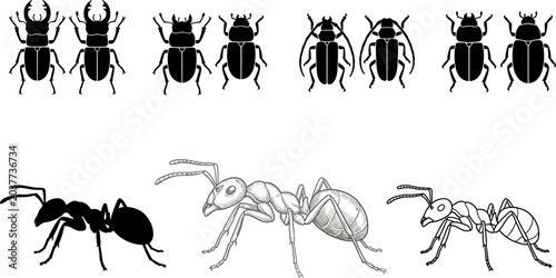 Foto Insect collection vector set featuring beetle silhouettes and detailed ant drawings in black line art and sketch style for image_bafeeb