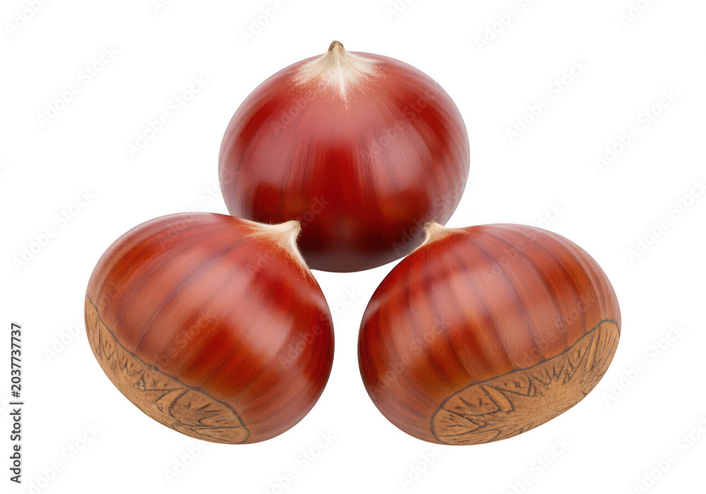 Obraz premium Three fresh acorns resting together in natural light isolated on transparent background