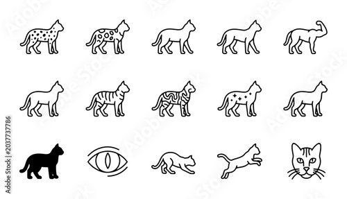 Photography Feline Icons Collection: Diverse Cat Silhouettes and Styles, Vector Graphics for