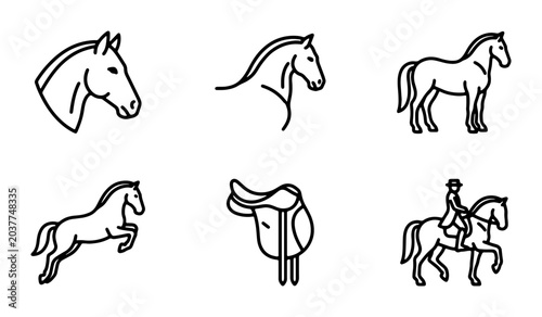 Foto Horse Icons Set, Equestrian Vector Graphics, Animal Silhouettes, Horse Riding Eq
