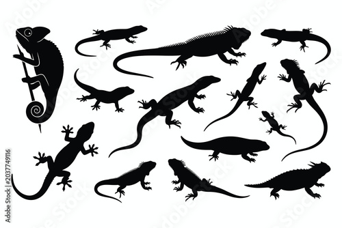 Valokuva Lizards silhouette vector flat illustration set of black reptile animal shapes i