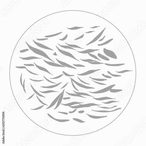 The picture shows the morphology and confluence of adherent cultured cells under microscopic observation to monitor optimal conditions.