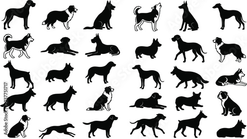 Fotografie Dog breeds silhouette vector set with black shapes of different domestic puppie