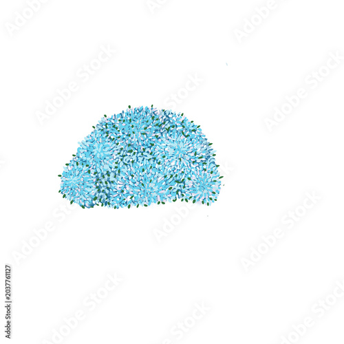 Blue Grass  illustration transparaant