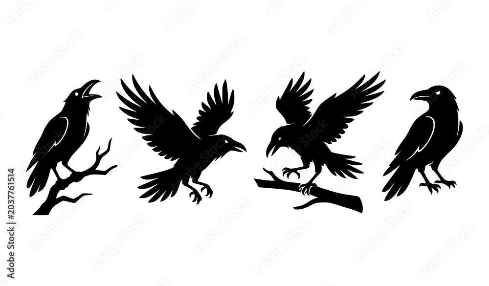 Fototapeta premium Black Crow Bird Silhouette Collection Vector Illustration Design