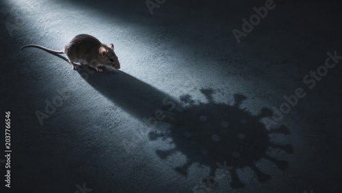 Rodent casting a shadow in the shape of a contagion agent, representing emerging infectious diseases and global outbreaks
