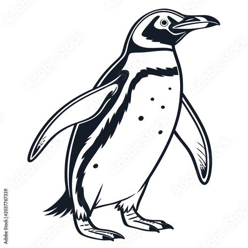 Bild auf Leinwand Penguin, black and white illustration, animal vector, wildlife icon, cartoon sty