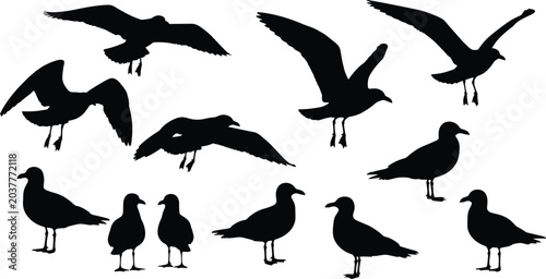Tableau sur toile Seagull Silhouette Collection with Flying Standing and Coastal Bird Poses for Ma