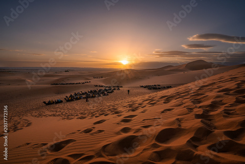 Golden sand dunes of the Sahara desert at sunset in Morocco, North Africa.