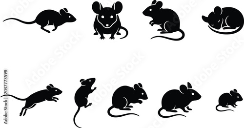 Fotografía Black Mouse Silhouette Collection in Various Poses Vector Set for Educational Ma