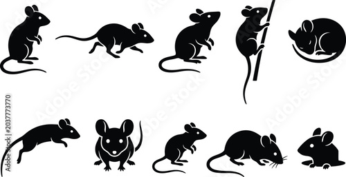Cuadro en lienzo Black Mouse Silhouette Collection in Various Poses Vector Illustration for Educa