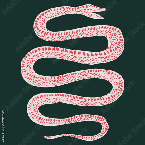 Abstract red snake illustration, wild animal poster, vector design