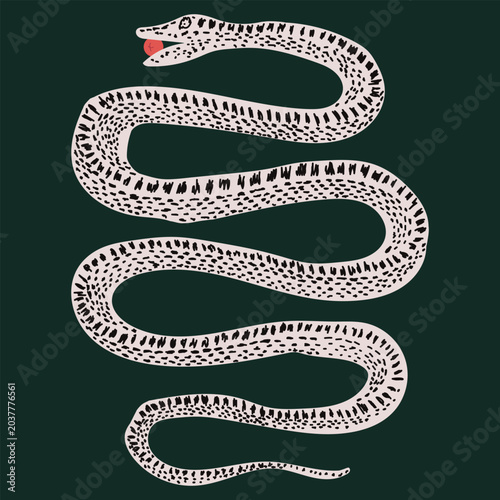 Snake with an apple vector abstract, hand drawn illustration, animal and wildlife