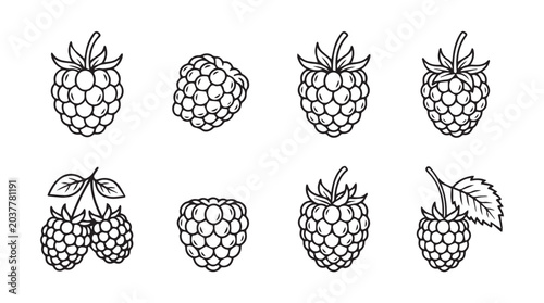Set of fresh raspberry fruit hand drawn line art icons with raspberry agriculture botanical monochrome illustration collection nutrition vegetarian ingredient minimalist vitamins foodstuff
