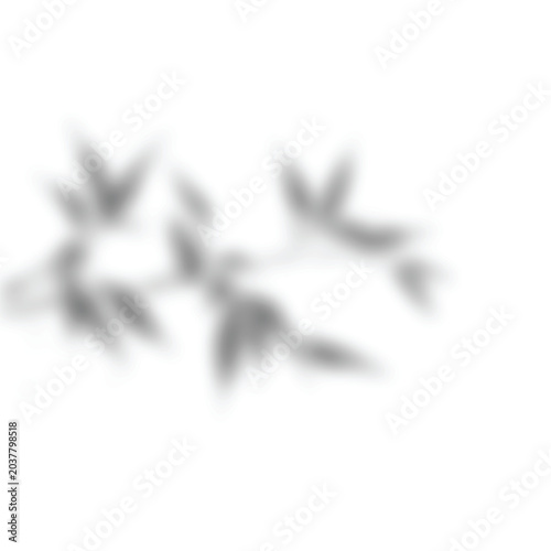 Soft focus white flower petals on light background