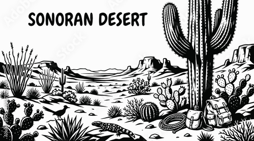 Obraz na płótnie Giant cactus plants in the Sonoran Desert representing biodiversity and North Am