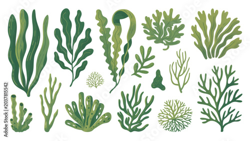 Photos Collection of various green seaweed and kelp plants set in a simple pixel art st