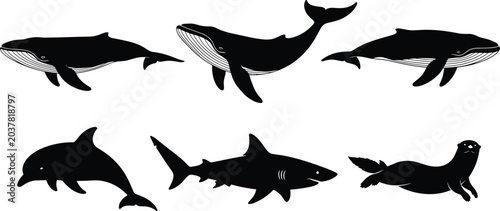 Bild auf Leinwand Marine Animal Silhouette Collection Featuring Whales Dolphin Shark and Seal Desi