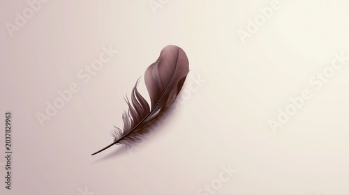 Elegant Brown Feather on Soft Beige Background for Minimalist Design