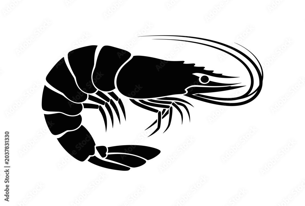 Fototapeta premium Black Shrimp Silhouette