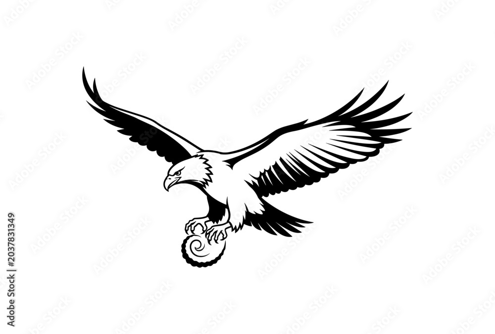 Fototapeta premium Eagle Talon Grip