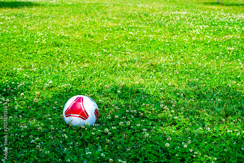 Soccer Ball on Green Grass Field