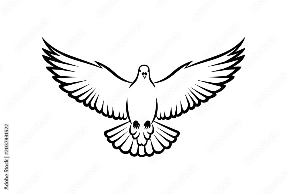 Fototapeta premium Dove in Flight Line Art