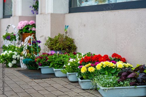 Colorful display of potted flowers in plastic planters and wicker baskets, arranged on a cobblestone sidewalk next to a bright building wall, shot in daylight from a low perspective.
