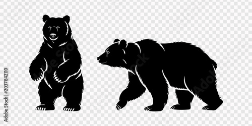 Photos bear black silhouette vector set, transparent background, Set of black bear silh