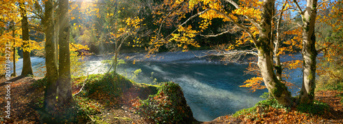 Idyllic sunny riverbank in autumn. A panoramic landscape with yellow tree branches hanging over a river in the sunshine and framing the teal water