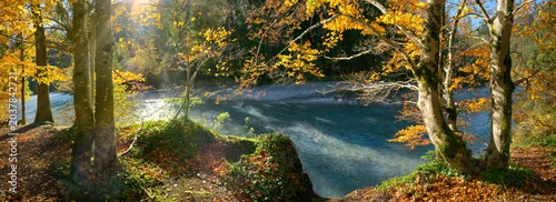 Panel kuchenny z motywem Idyllic sunny riverbank in autumn. A panoramic landscape with yellow tree branches hanging over a river in the sunshine and framing the teal water
