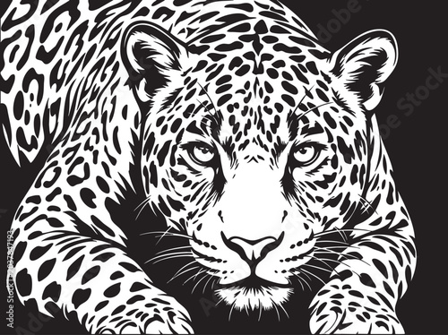 Canvas Print Leopard, wild cat, animal illustration, black and white vector, wildlife art