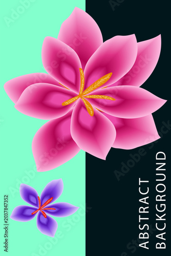 Pink Frangipani and Lily Flowers on Black Background Floral Vector Design for Invitation Card Decoration