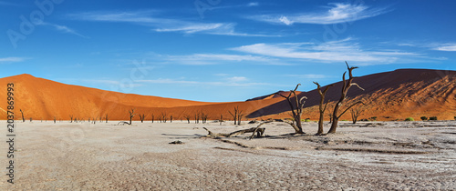 Foto Deadvlei is a white clay pan with dead trees in Namib Desert at Sossusvlei in Na