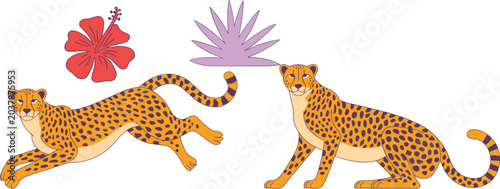 Photography Cheetah illustrations with floral elements, vector artwork of wild animal design