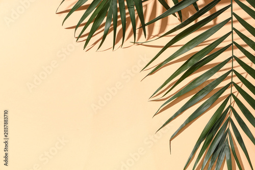Green tropical leaves on be...