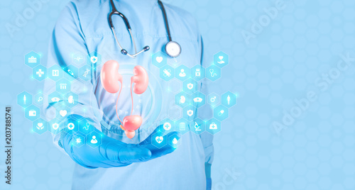 Tableau sur toile A urologist explains kidney and bladder health