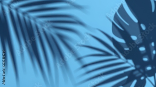 art abstract background with palm shadows on blue with copyspace, tropical leaf silhouette overlay on minimal surface, summer nature shadow pattern with empty space