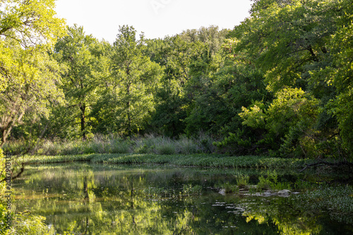 lake in the woods