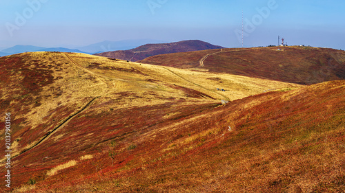 Dramatic view of mountains covered with low-growing berry bushes in the Carpathians in Ukraine, the Borzhava meadow, view of Mount Play and the weather station, Temnatyk and Tsytska mountains