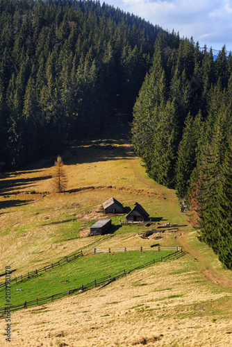 Scenic view on hiking trail ascent towards Kukul Ridge from Voronenko village featuring Bukovyna Polonyna pasture and shepherd dwellings in the Ivano Frankivsk region of the Ukrainian Carpathians