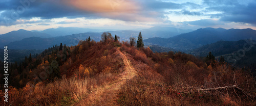 Beautiful autumn view in the last rays of the setting sun of a hiking trail and forested Carpathian Mountains in Ukraine, Lviv region, near the village of Slavsko.