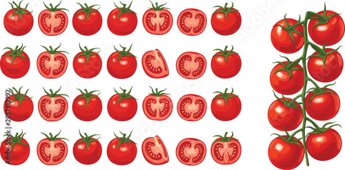 Fresh Cherry Tomatoes on Vine Vector Set with Red Slices and Whole Vegetable Icons for Healthy Food Menu Grocery Store and Culinary Designs
