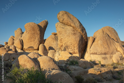 Rock Formations in Joshua Tree National Park