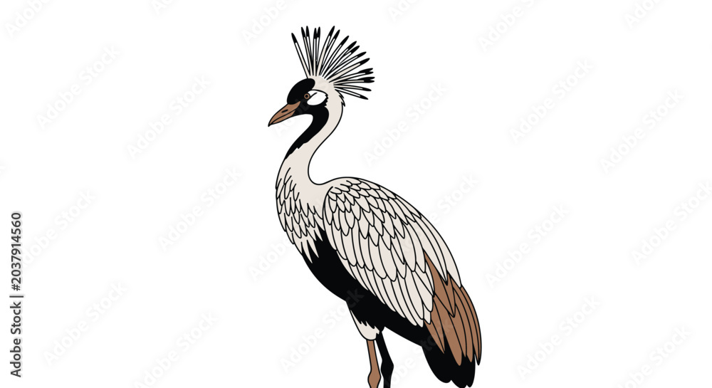 Fototapeta premium Grey crowned crane illustration shows the elegant bird with its distinctive golden crest and grey plumage on a clean white background.